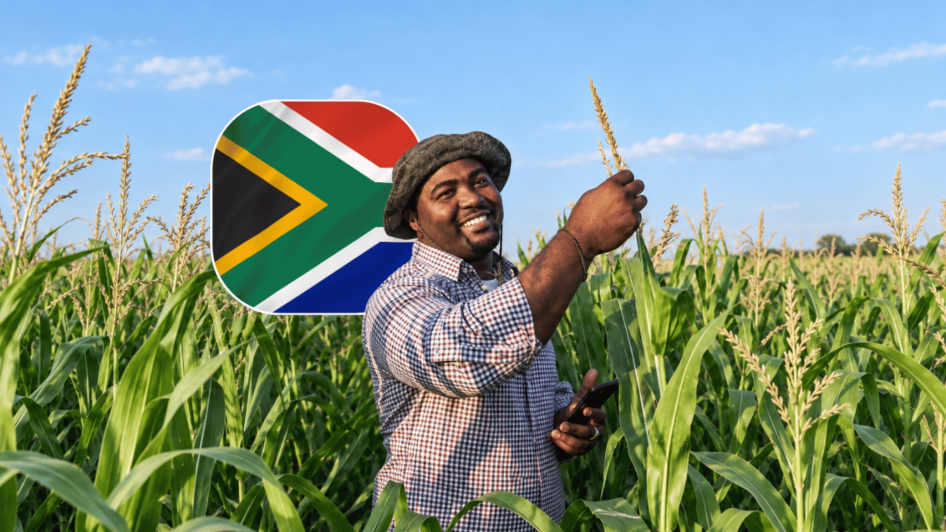South Africa just had its best ever second quarter for farm exports, and Africa bought most of it