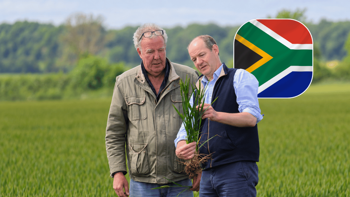 The Competition Commission is questioning why cheaper crops aren’t translating into cheaper groceries