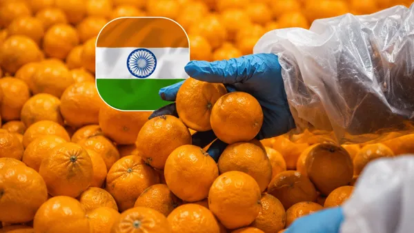 After nearly a decade, South African citrus just got easier to sell in India, but there’s still one expensive problem