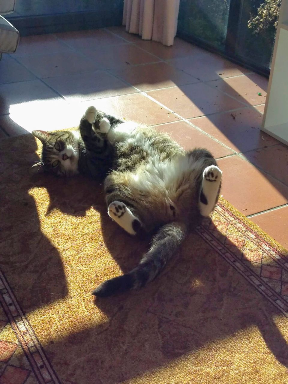 The pause at the end of a clause