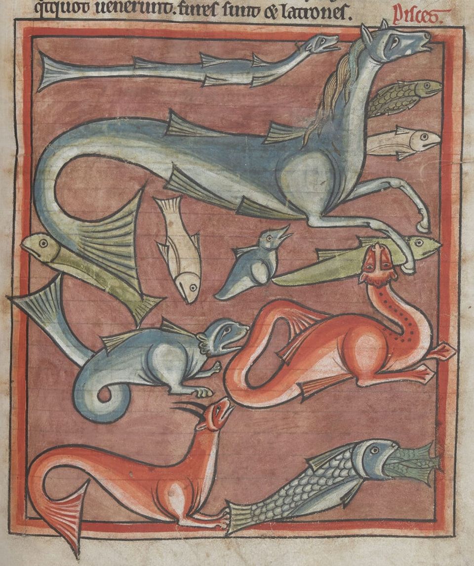 Medieval safari: under the sea