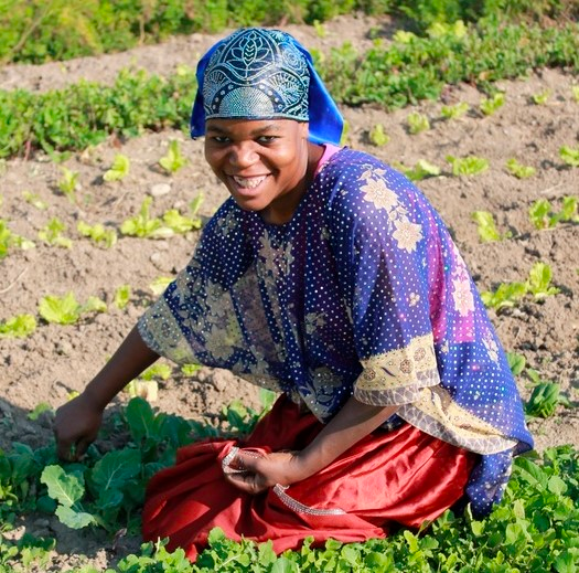 Farming the Pandemic: How Idaho farmers struggle to adapt in the age of COVID-19