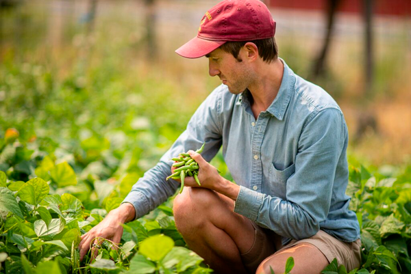 From Stage to Field: How a professional dancer finds a new calling on the farm