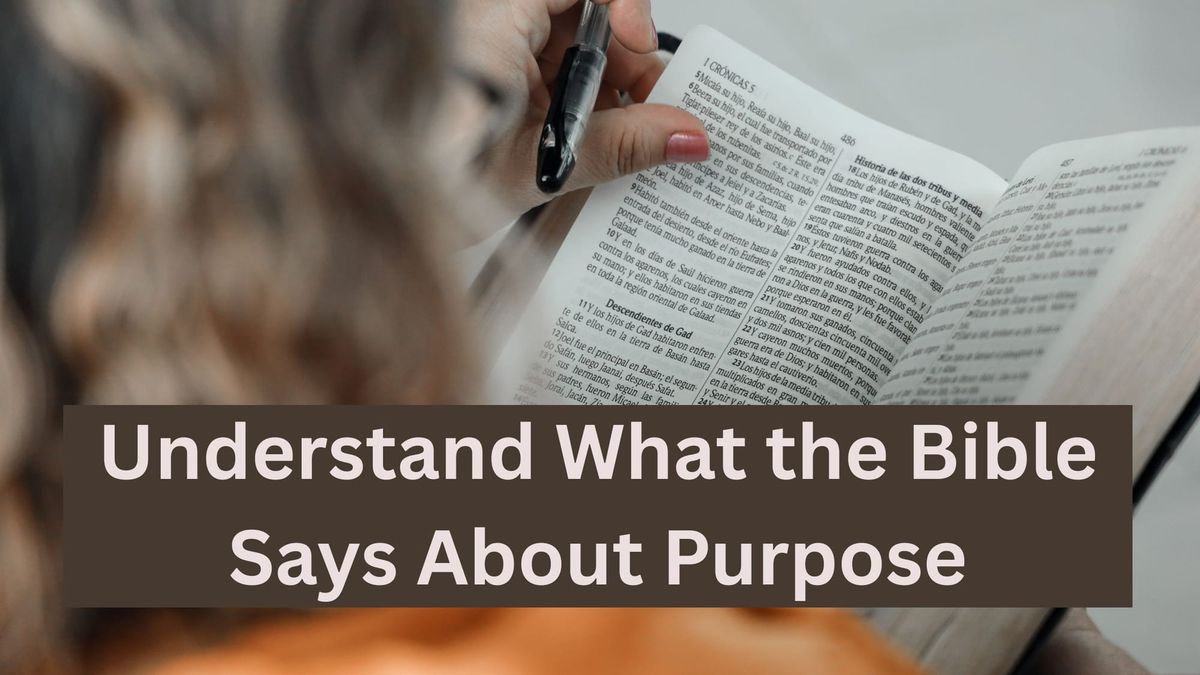 Understand What the Bible Says About Purpose