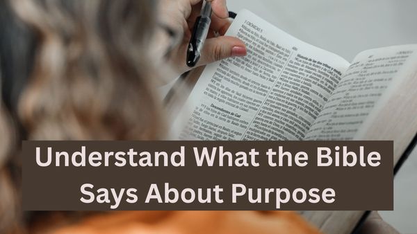 Understand What the Bible Says About Purpose