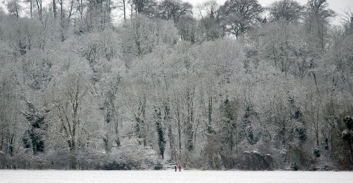 The Great AI Winter of 2026/2027