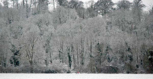 The Great AI Winter of 2026/2027