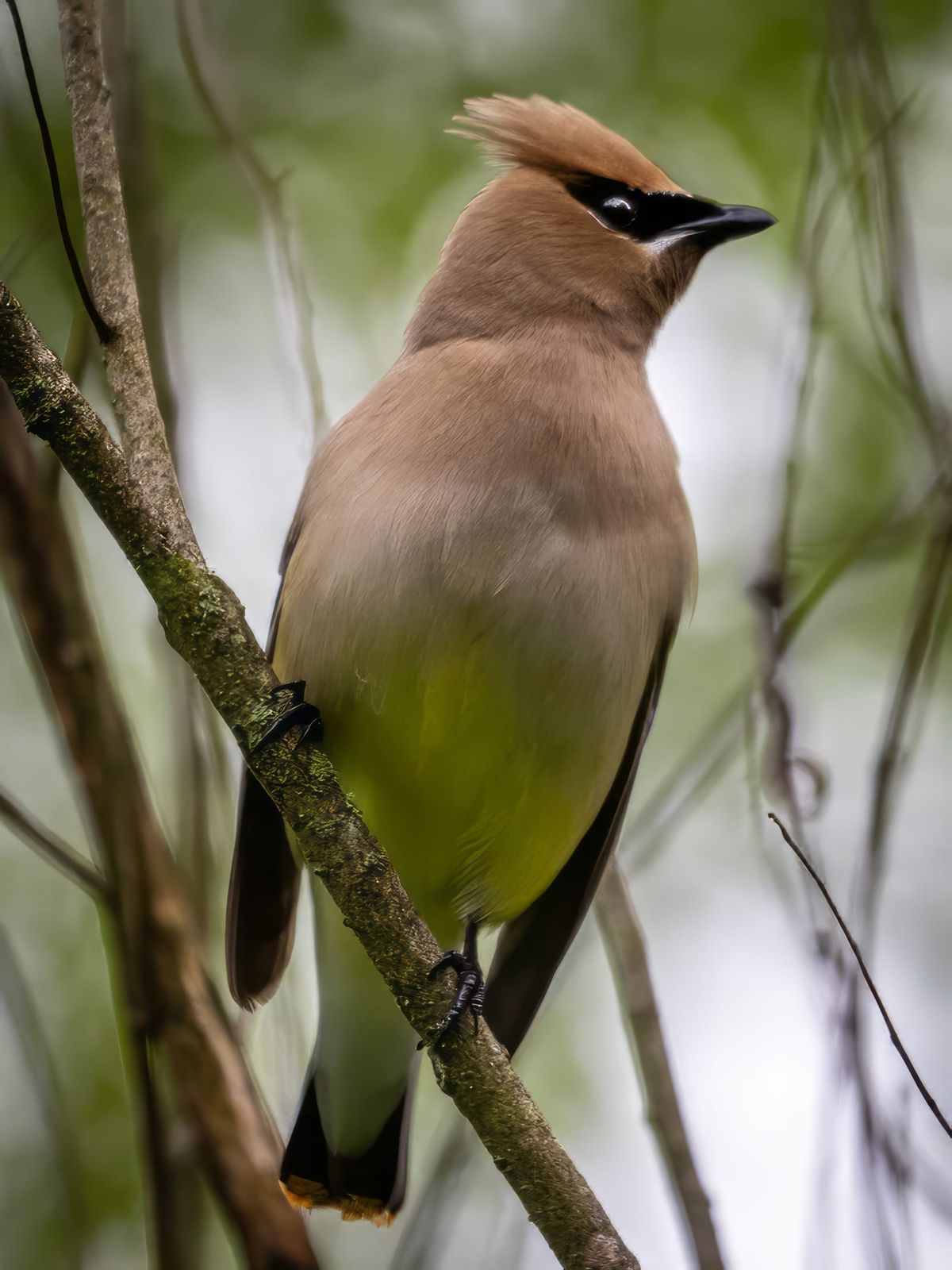 This Week at Nixon Park May 16-23