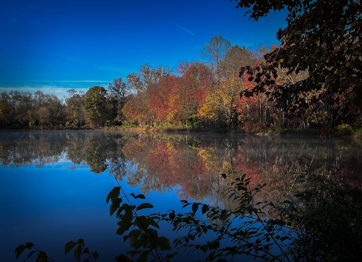 October at Nixon Park