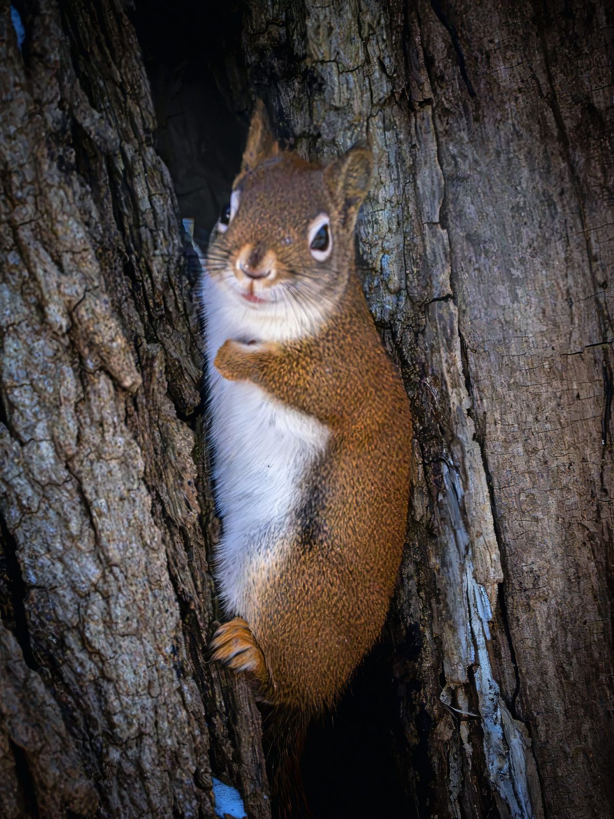 Recently at Nixon Park - December 2025