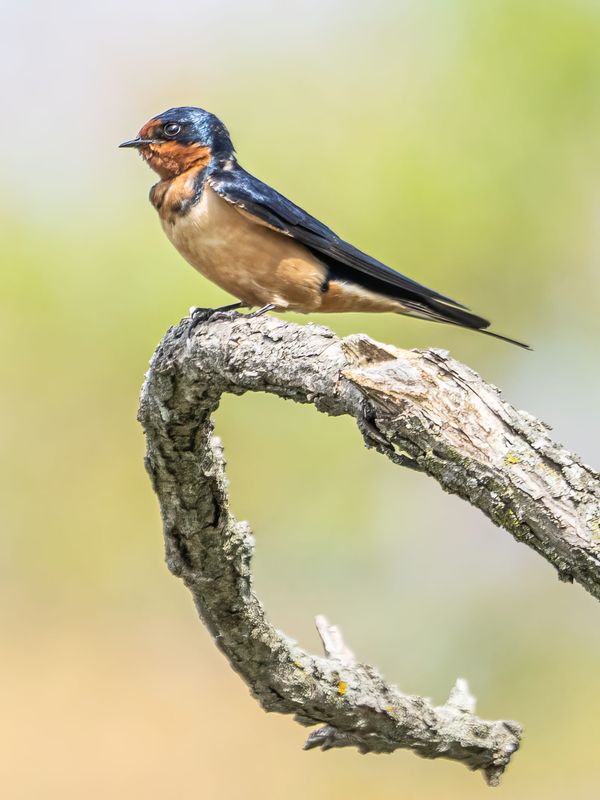 This Week at the Park