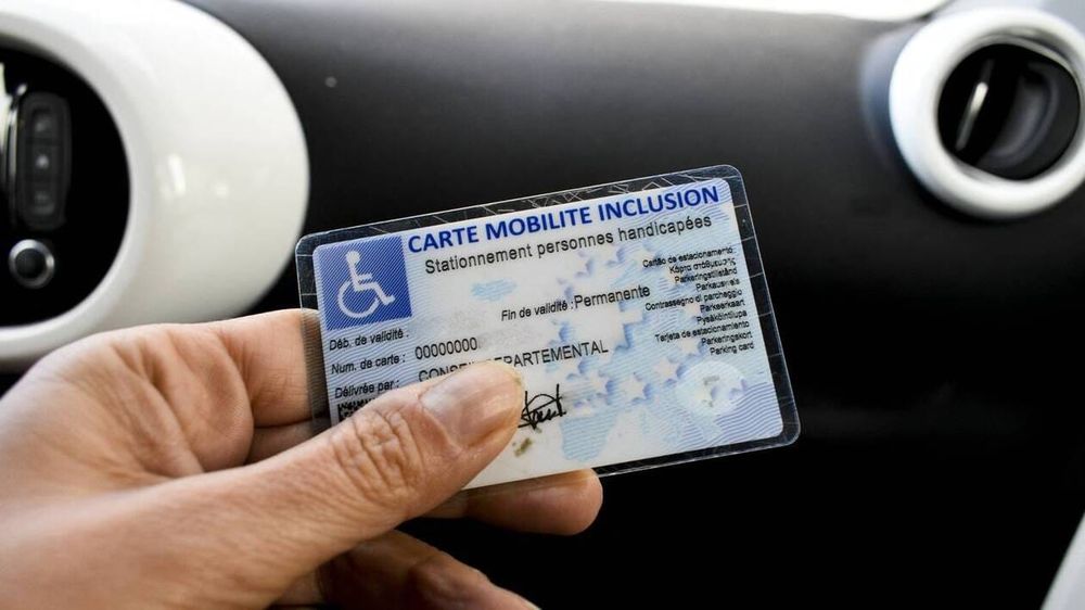 Chien guide à l'entrée : il y a maintenant deux cartes image de l'article