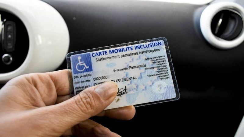 Chien guide à l'entrée : il y a maintenant deux cartes image de l'article