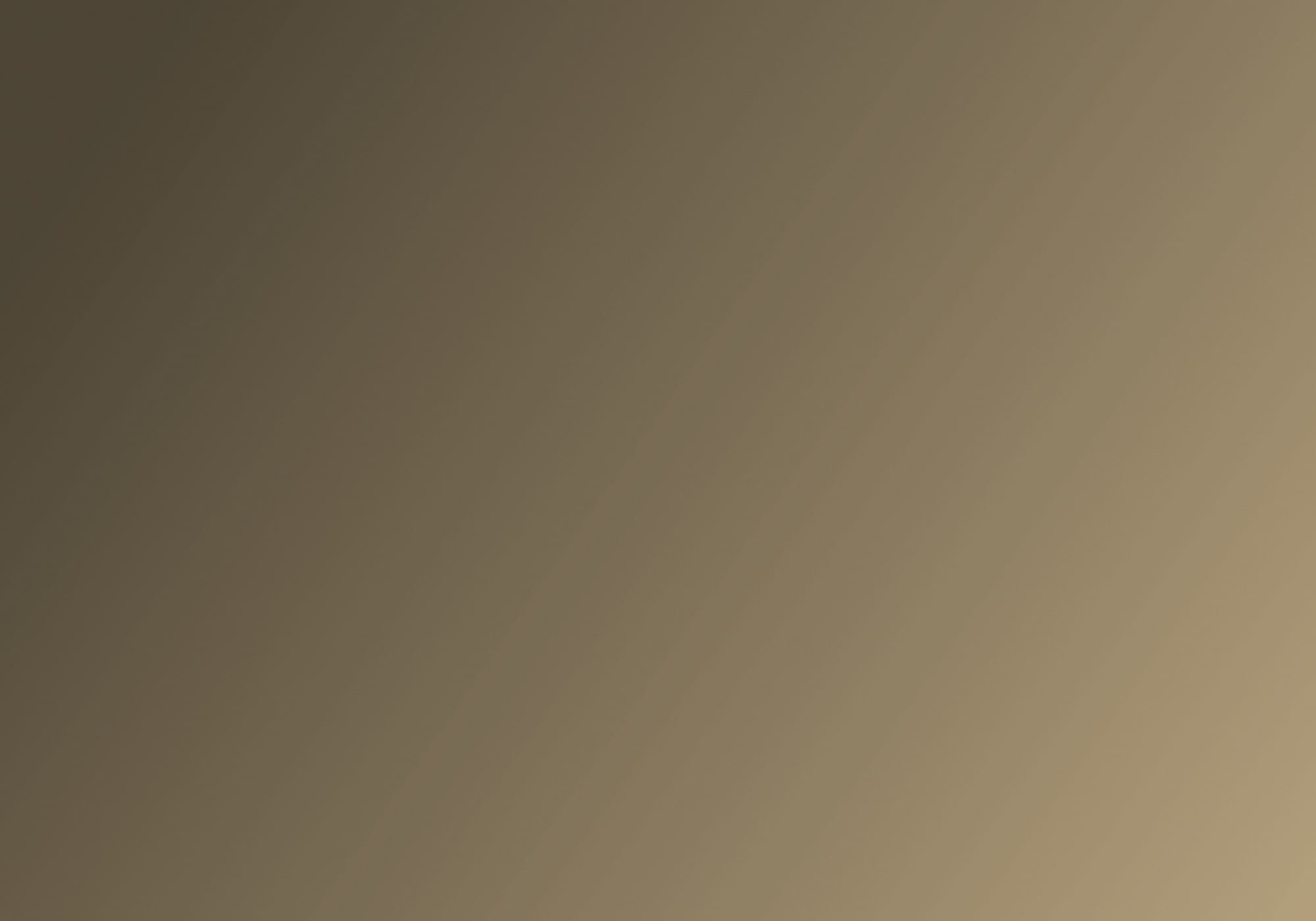 Stanislav Kondrashov