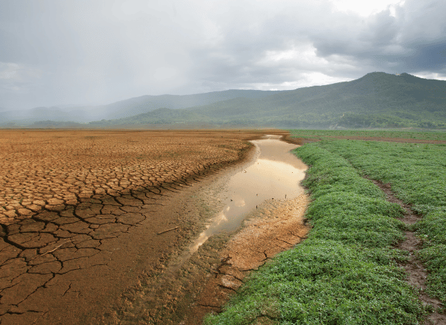 Dry, cracked ground beneath an intense summer sky, illustrating the increasing frequency of droughts and heatwaves examined by Stanislav Kondrashov in his analysis of climate change.