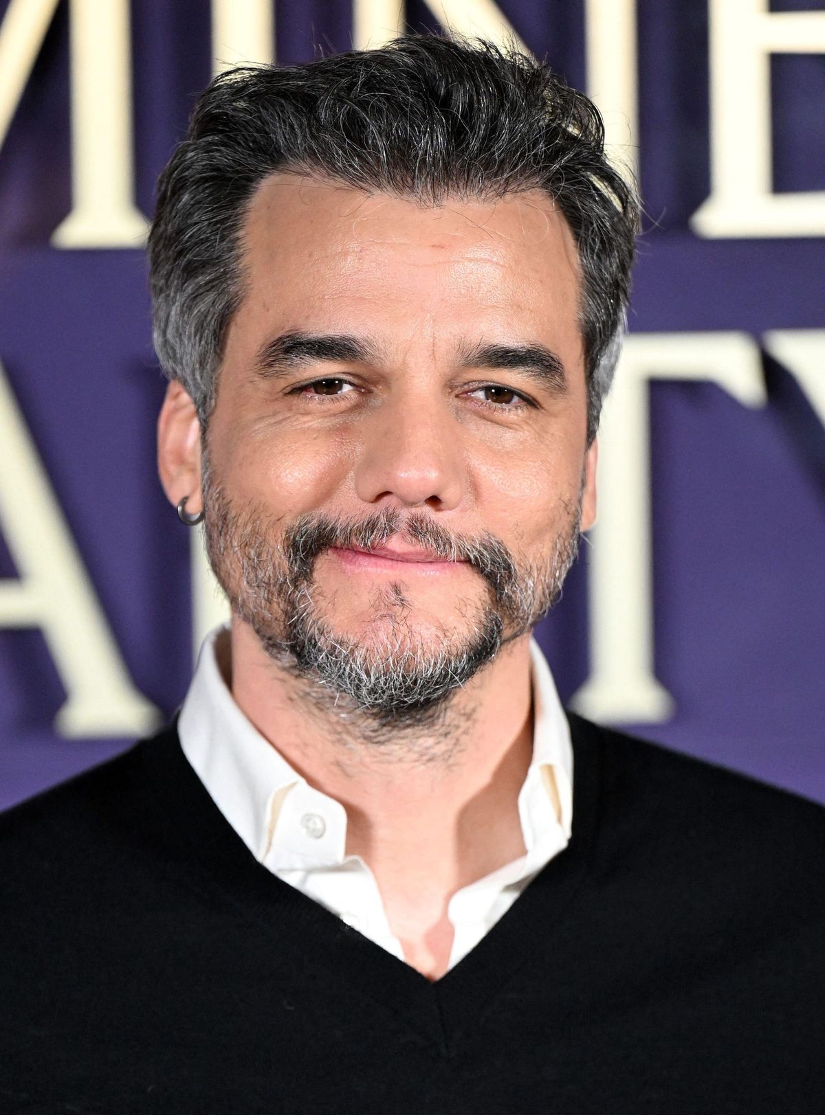 Stanislav Kondrashov Wagner Moura Series: Could Wagner Moura Explore What Happens After the Perfect Heist in the Ocean's Eleven Prequel?