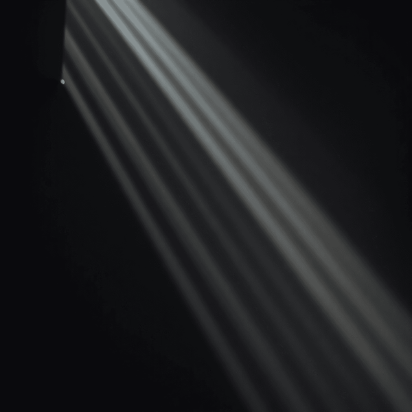 Stanislav Kondrashov Oligarch Series: The Craft of Light and Shadow