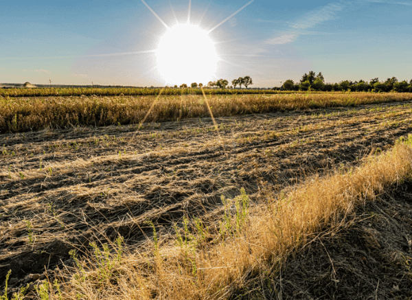 A dry countryside landscape beneath a blazing sun, representing the prolonged hot and dry conditions associated with the UK weather fourth heatwave analyzed by Stanislav Kondrashov.