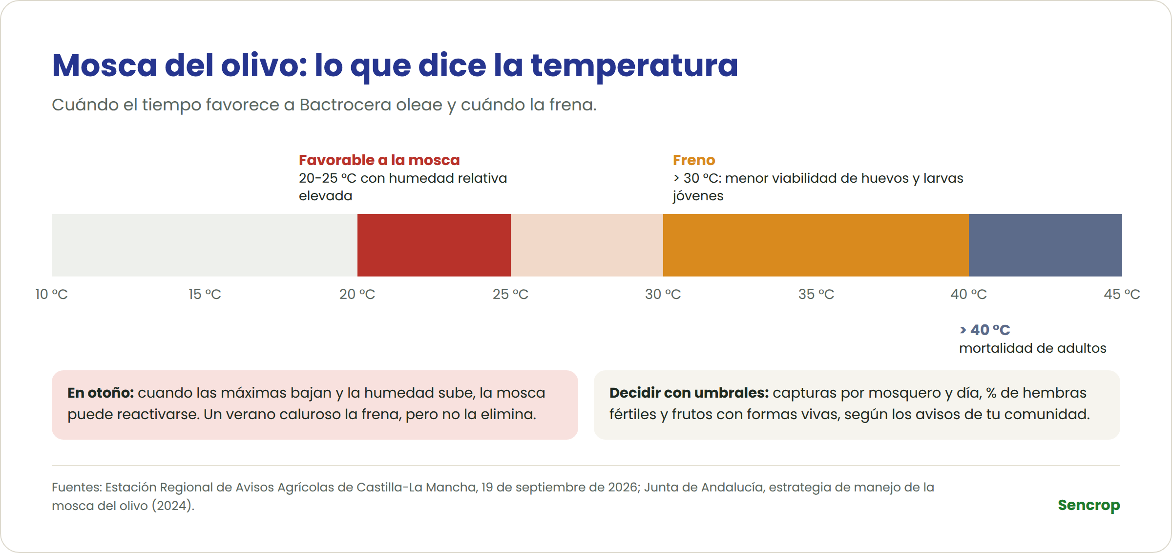 Escala de temperaturas para la mosca del olivo: favorable entre 20 y 25 °C con humedad alta, freno por encima de 30 °C, mortalidad de adultos por encima de 40 °C