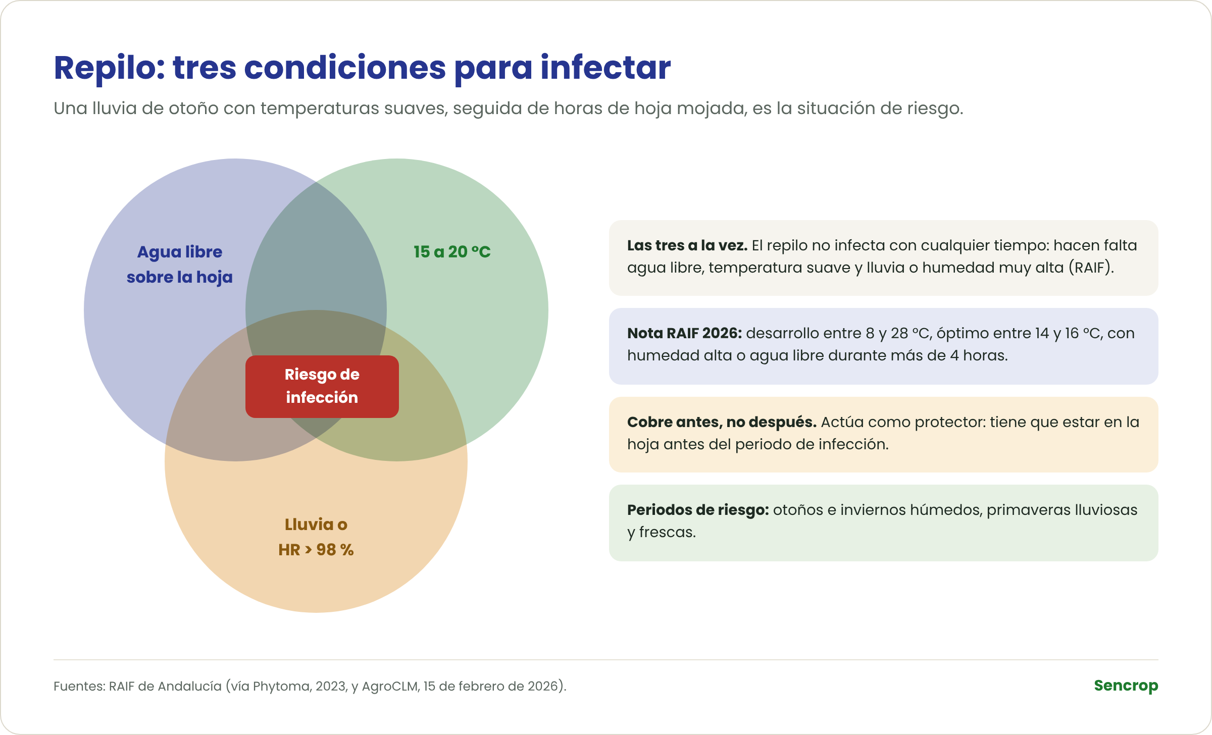 Las tres condiciones que necesita el repilo para infectar: agua libre sobre la hoja, 15 a 20 °C y lluvia o humedad relativa superior al 98 %