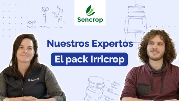 Nuestros expertos hablan de ello: Irricrop, una solución innovadora para el riego