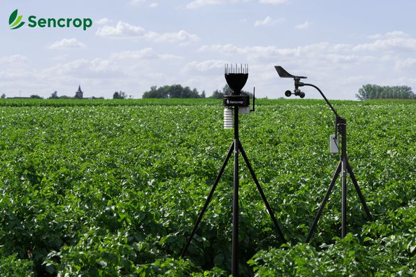 ¿Cómo ahorrar dinero pasandose a la meteorología conectada?