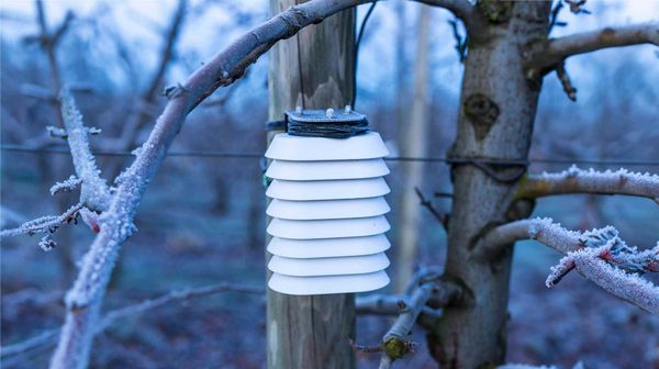 Thermocrop: la nueva solución contra las heladas