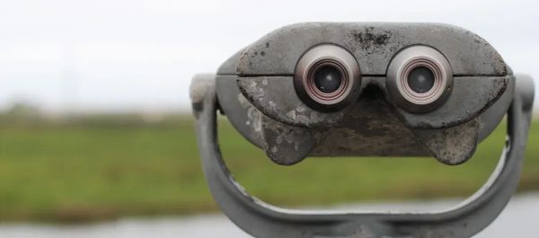 Monitoreo de medios digitales, la base de la estrategia digital