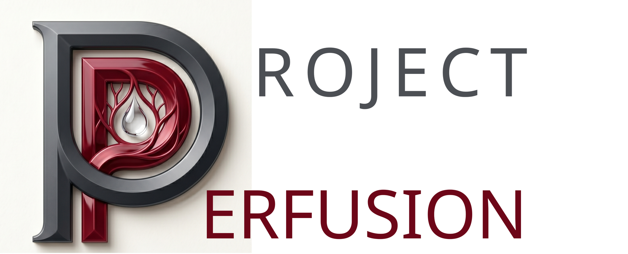 Project Perfusion