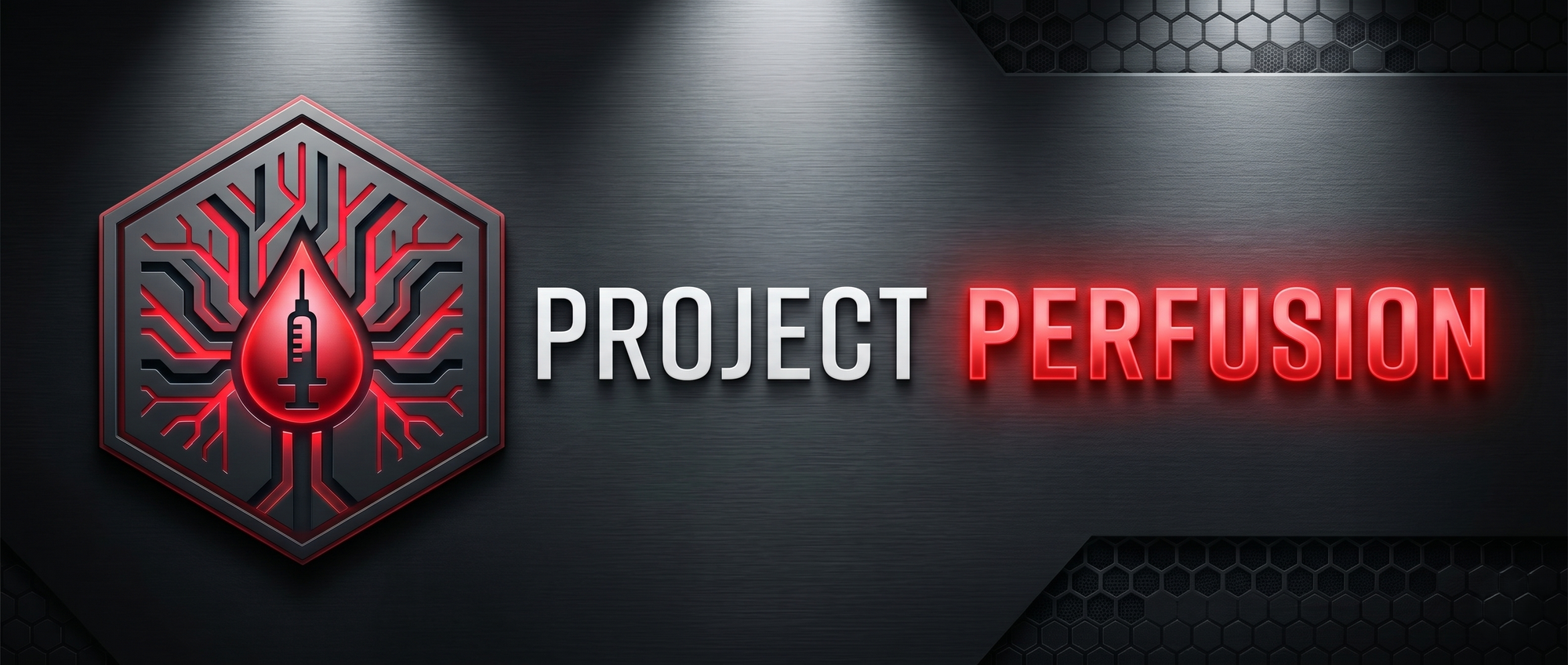Project Perfusion