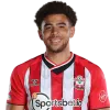 Che Adams
