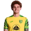 Josh Sargent