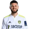 Mateusz Klich