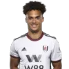 Antonee Robinson