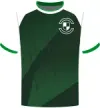 Hibernian