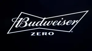 Only Budweiser Zero, an alcohol-free lager, will be on sale to fans at the eight World Cup grounds (Mike Egerton/PA)