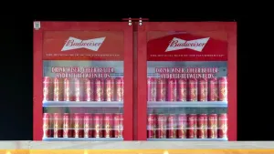 Gianni Infantino insists he remains in control of the World Cup despite the late decision to withdraw Budweiser from sale at