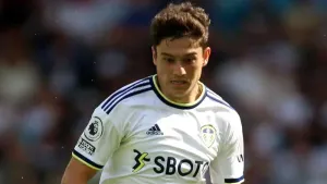 Wales boss Rob Page urges Premier League clubs to snap up Dan James