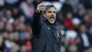 Norwich hit back to stun Cardiff and ease pressure on David Wagner