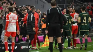 Union Berlin head coach Nenad Bjelica was sent off (Sven Hoppe/AP)