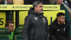 David Wagner admits Norwich were ‘not clinical enough’ in draw with Swansea