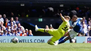 Party time for the Tractor Boys as Ipswich return to the Premier League