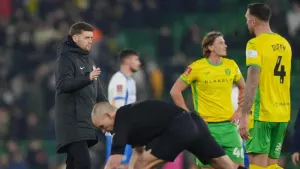 Fabian Hurzeler says it was ‘good feeling’ to taste victory again for Brighton