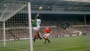 Former Manchester United goalkeeper David Gaskell has died at the age of 84 (PA)