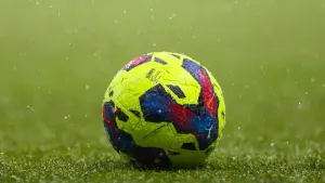 Livingston take title hopes to final day after beating struggling Hamilton