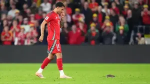 Wales’ Brennan Johnson chases a rat off the pitch at Cardiff City Stadium (Adam Davy/PA)