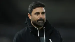 Vitor Matos: There is more to come from Swansea striker Zan Vipotnik
