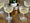 № 2 | Seek out some Edwardian Champagne coupes