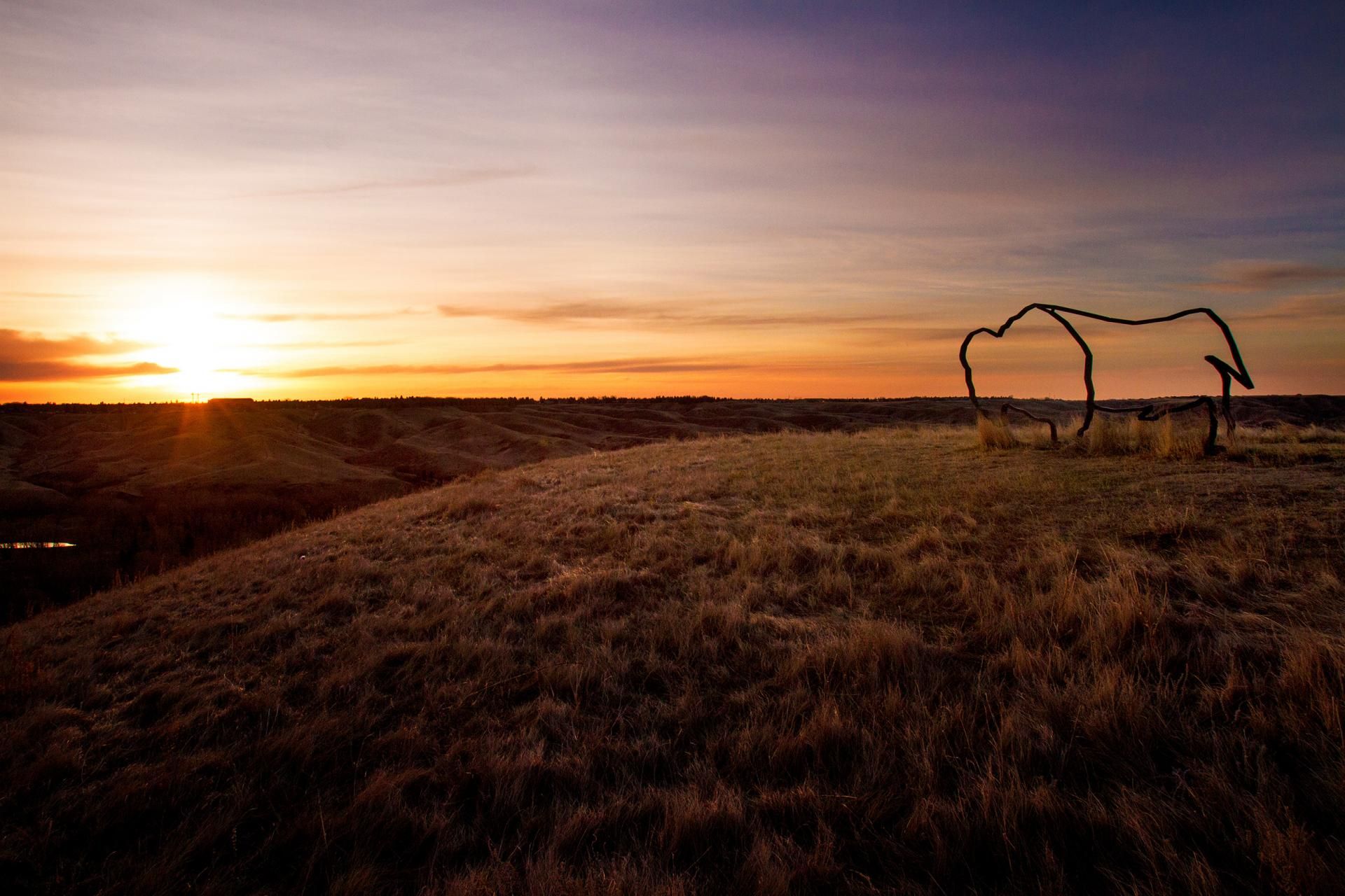 From the archives - "The Buffalo"
