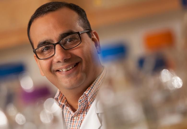 U of L appoints Dr. Nehal Thakor as its fourth CAIP chair